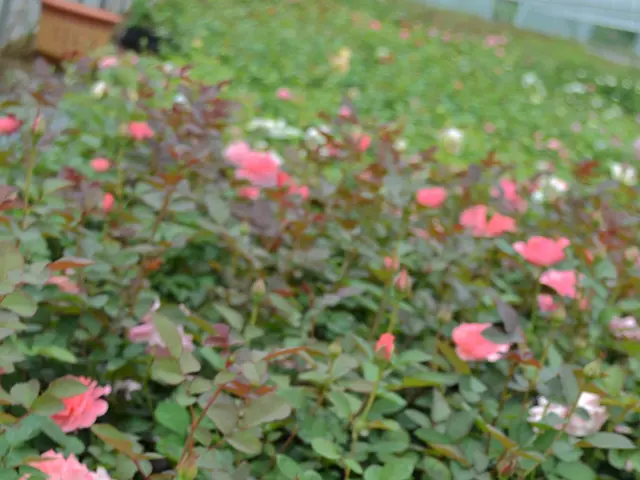 In 2024, start-ups based in Telangana gathered a staggering $571 million in investments.