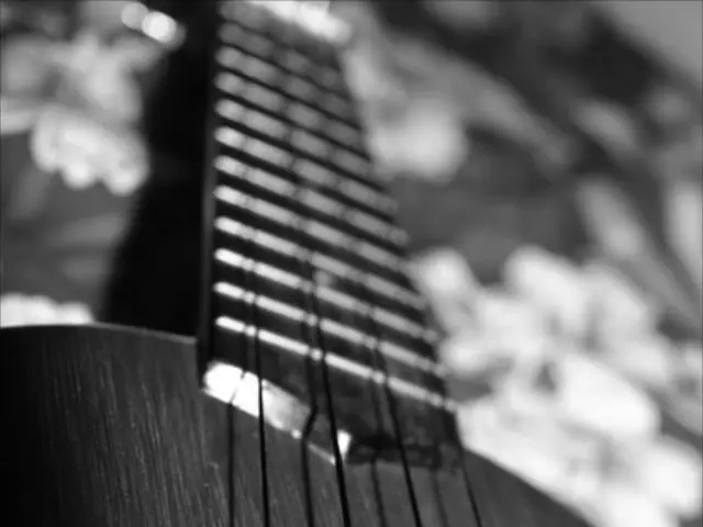 Exploring Plate Reverb: Uncovering Its Distinctive Audio Quality