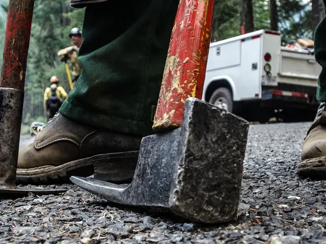 Equipment donated for accelerating forest rescue operations by Alpine Rescue teams