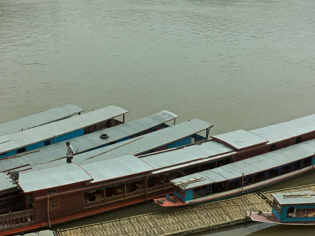 Shooting stars are exceptionally remarkable in this instance