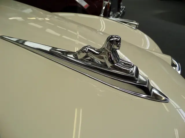 Jaguar's CEO, PB Balaji, supports the 'Copy Nothing' rebrand, but response is divided