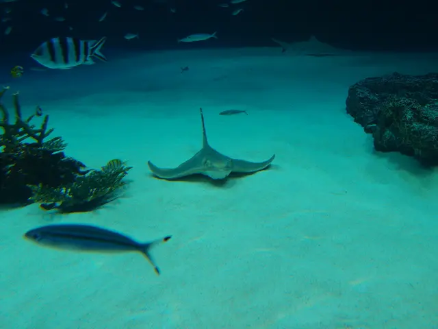 Explored an unknown marine ecosystem using a deep-sea submarine, according to scientists.