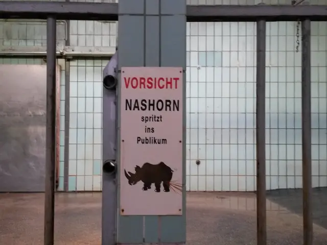 Stablecoins, Taproot, and Growth: A Look at the Lightning Network in 2025