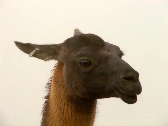 Artificial Intelligence in your earbuds: an exploration of its nature, the different AI varieties,...