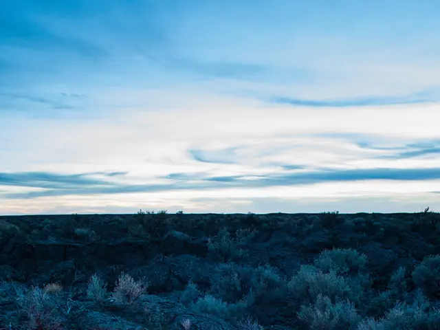 Achieving a campfire in PlayerUnknown's latest survival game offers a genuine sense of success, a...