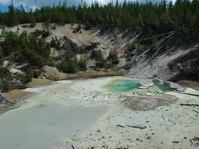 Investment firm backs Equatic with $11.6 million to accelerate permanent carbon elimination and...