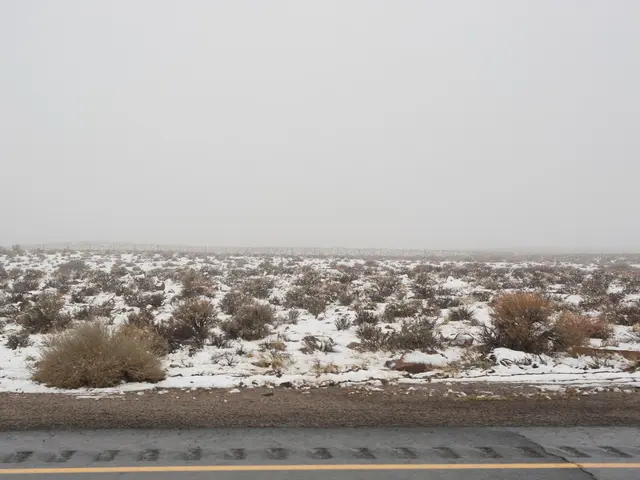 Intelligence orbiting Europe: Improved Weather Prediction via Satellite Technology