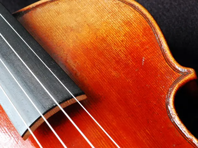 "Jeff 'Skunk' Baxter spoke about the economical $35 guitar he utilized on Donna Summer's album. He...