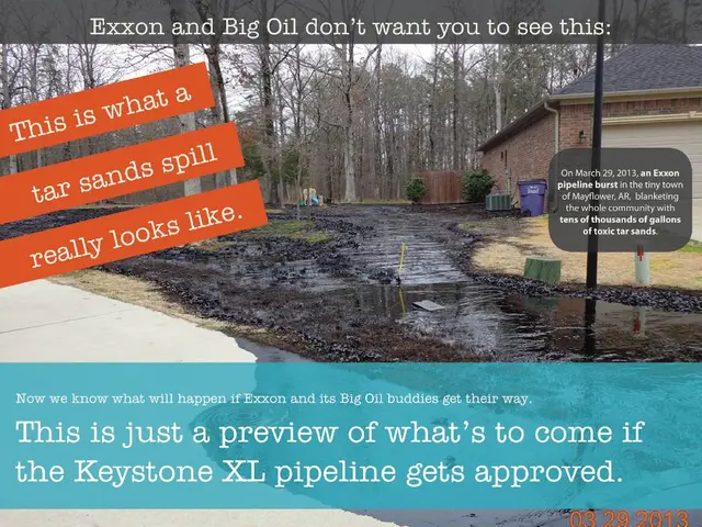 In Pirmasens, unwanted pizza is repurposed into biodegradable plastic