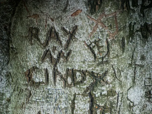 Electric vehicle manufacturer Montra Electric opens first electric pickup truck dealership in...