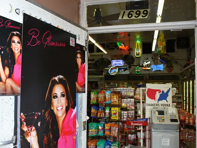 Instant Payment Solution Launched by ING: Wero, a New Competitor to PayPal