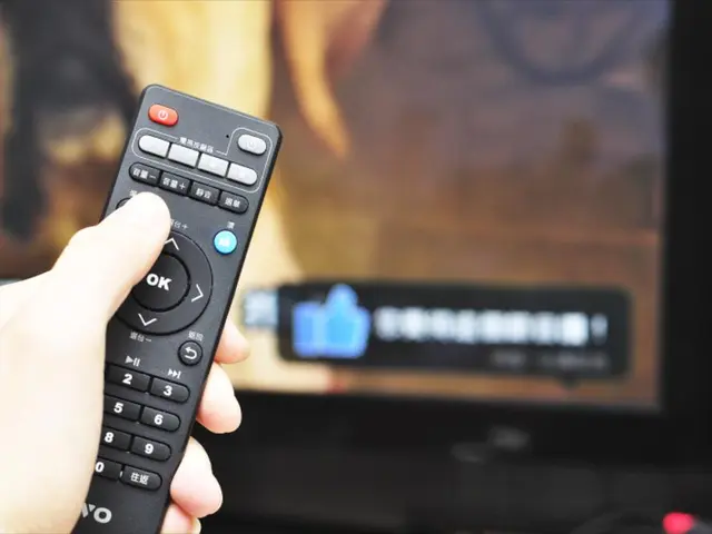 Utilizing Chroma Key in Canva's Editing Tool: A Guide