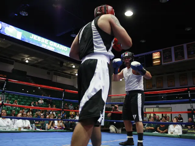 Guide for Purchasing Ring Video Doorbells: Choosing the Ideal Option for You