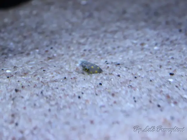 Unrestricted flying of drones begins nationwide, starting from August 16, as determined by CAAT.