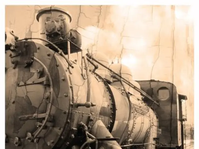 Migrants numbering around 220 over a four-year period