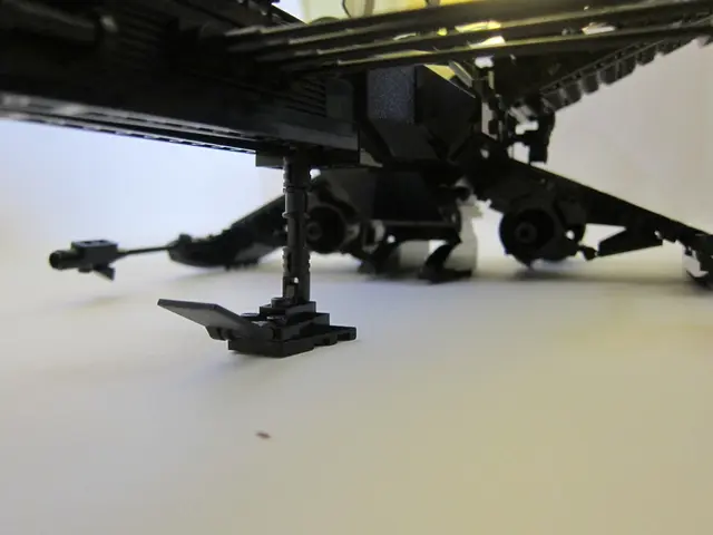 Naval forces confront dilemma over marine interests