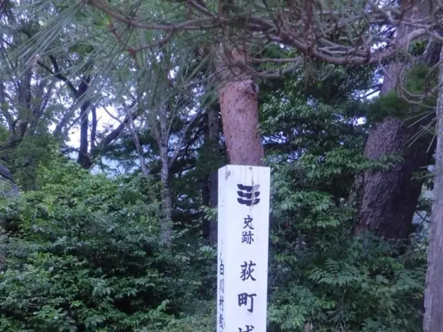 Log4j Vulnerability Zero-Day Risk: Identification and Countermeasures for CVE-2021-44228