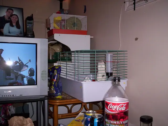 TV service providers Run3TV and TVision join forces to develop advanced measurement systems for...