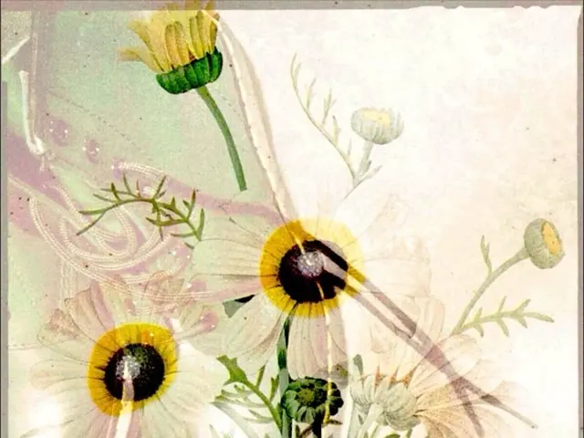 Nike and Tomo Koizumi breathe new life into the Air Superfly with a burst of color