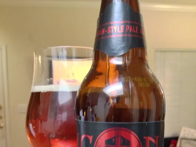 Payment alternatives - an essential necessity for transactions