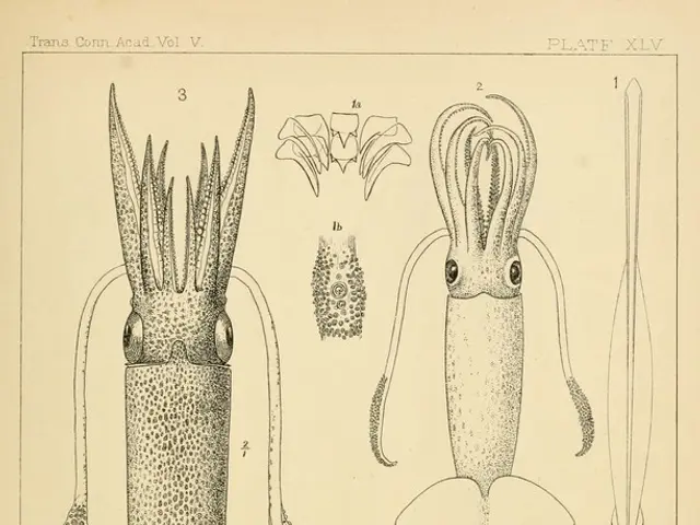 Oldest Known Lepidosaur Fossil Unearthed in the UK Challenges Evolutionary Dynamics