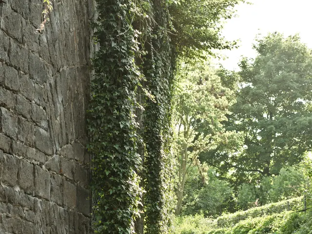 Hackers Using Gold Salem to Infiltrate Systems and Install Warlock Ransomware, Evading Security...