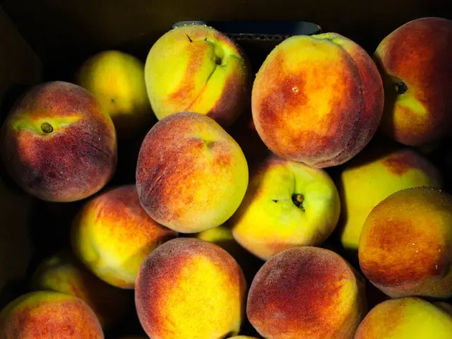 Global tech giant, Apple, urges its international supply chain to accomplish decarbonization by the...