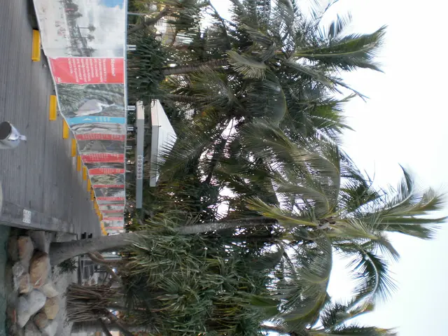 Hokai's Mafate X Hike Event Features Search and Rescue Technology from SAR Teams for Trail Runners