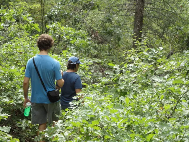 CRUD Functionality with Mongoose and MongoDB Atlas in Node.js