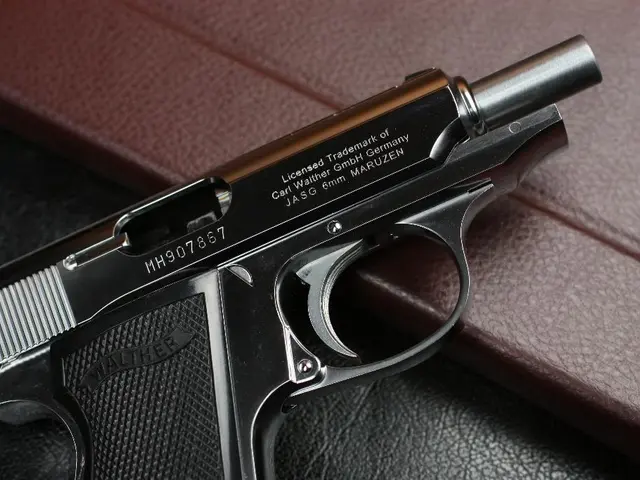 Evaluation: Taurus GX2 Firearm Assessment