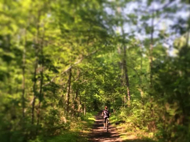 In the picture a person is riding cycle on a path in between the grass and trees.