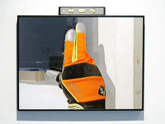 In the foreground of this image, we can see a screen to a wall. In the screen, we can see a...