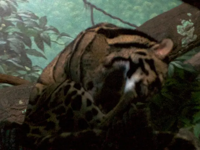 This image looks like a painting in which I can see a tiger, tree trunk and trees. This image is...