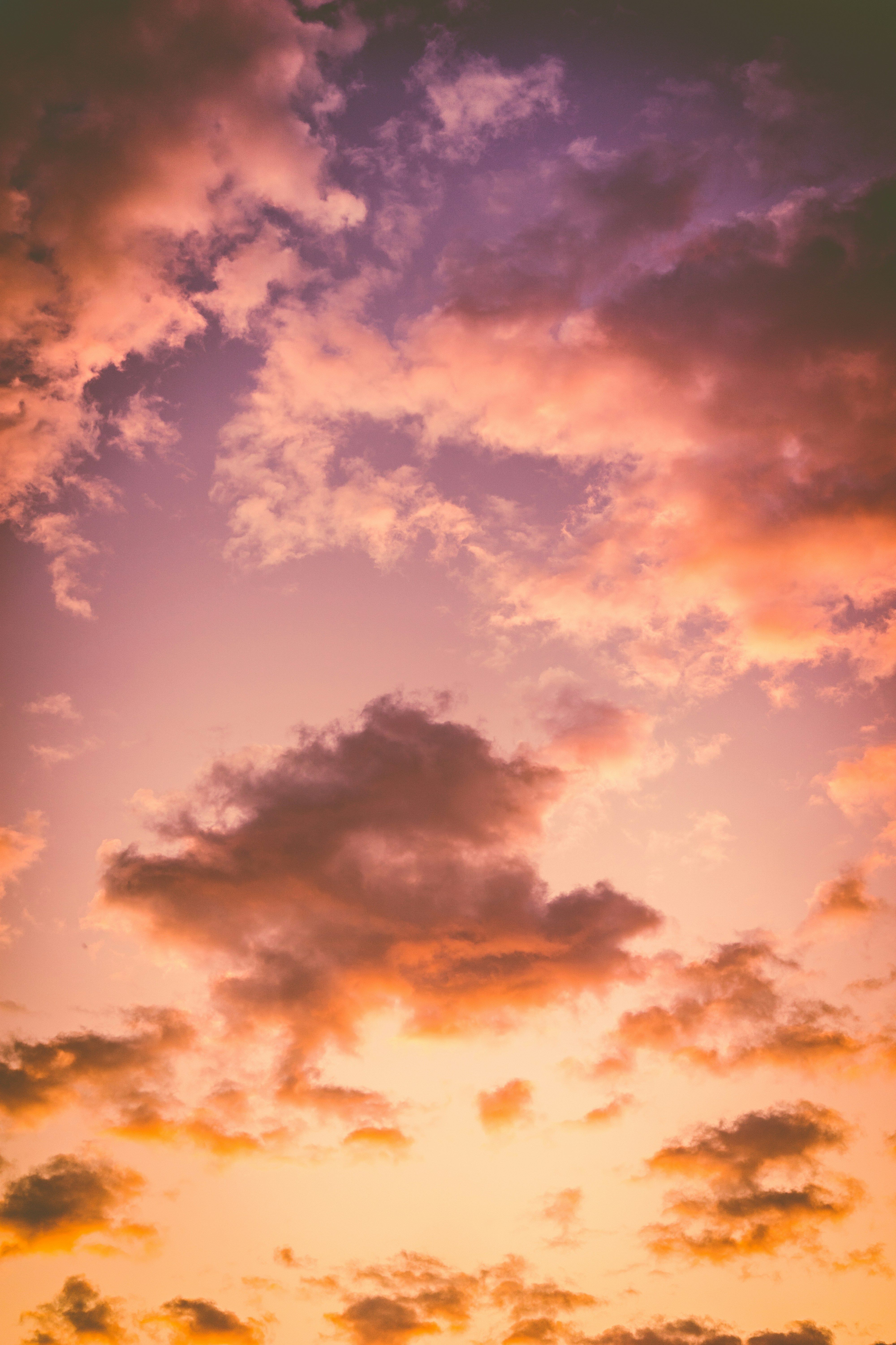 Individual engaged in lewd acts captured on camera in public area, identity of suspect remains unknown. Bullish indicators detected in BitTorrent's price movement, suggesting a possible trend reversal towards growth. Get the latest insights here.
