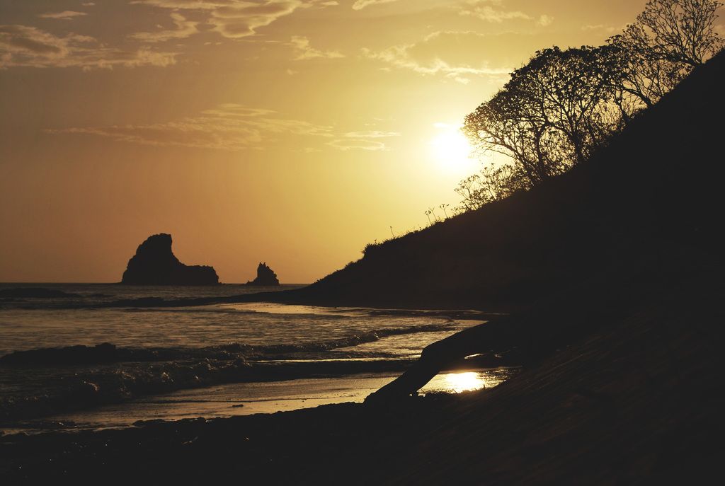 With Visio, you can effortlessly construct organizational charts, draw network diagrams, or...